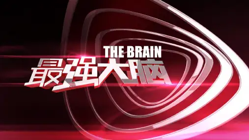 最强大脑节目介绍及方案分析课件