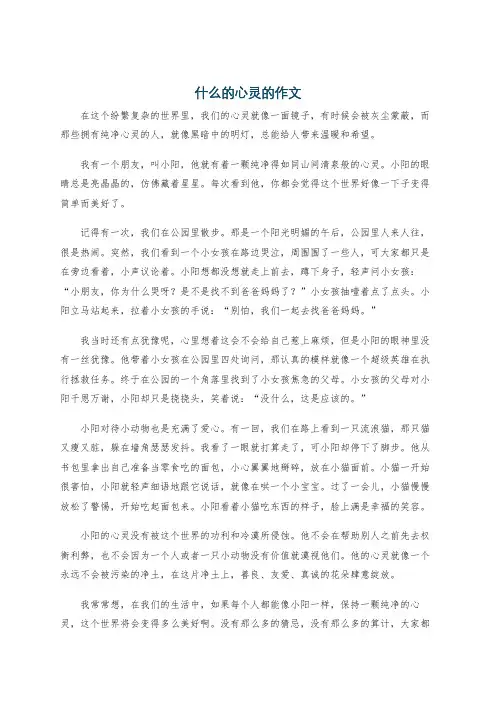 什么的心灵的作文