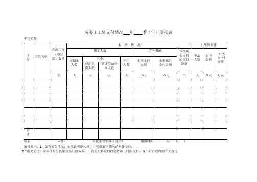 劳务工工资支付情况年度报表