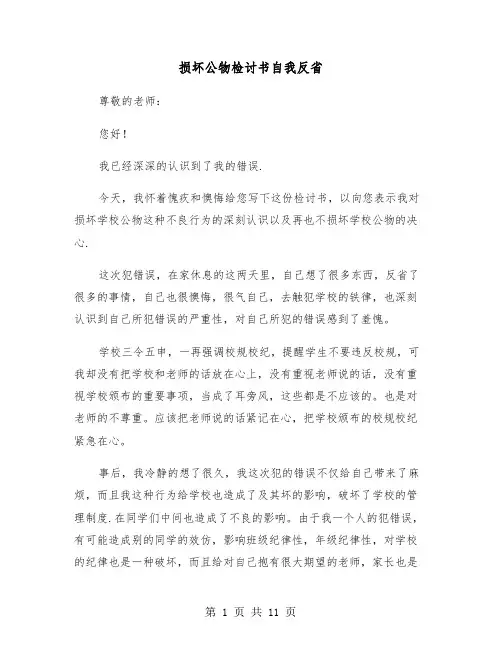 损坏公物检讨书自我反省(六篇)