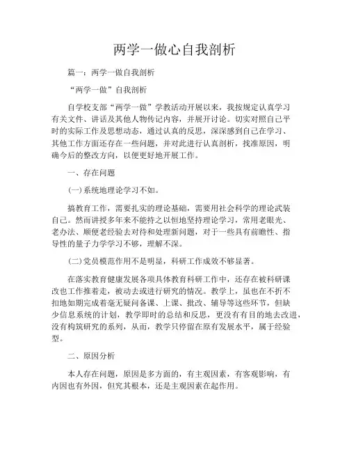 两学一做心自我剖析