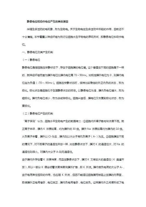 静息电位和动作电位产生的具体原因