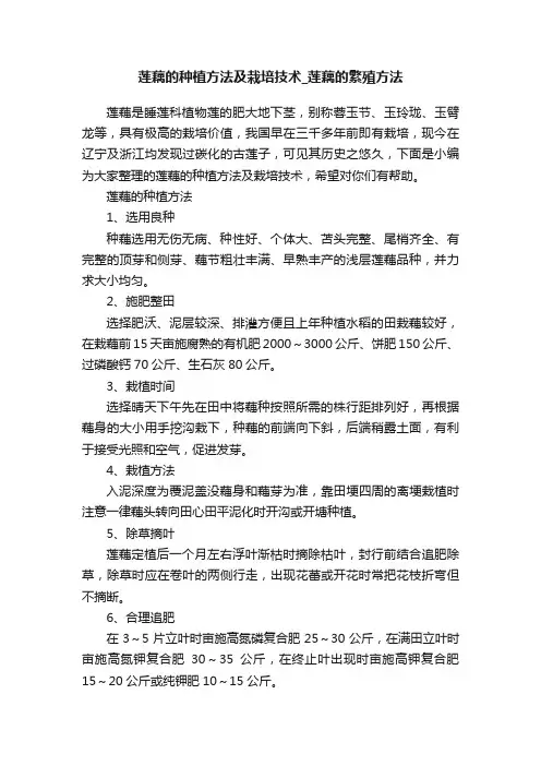 莲藕的种植方法及栽培技术_莲藕的繁殖方法