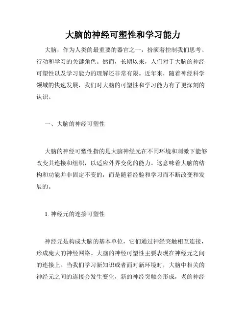 大脑的神经可塑性和学习能力