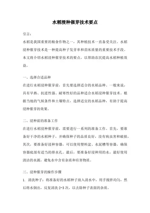 水稻浸种催芽技术要点
