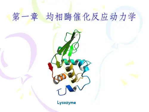 第一章酶促反应动力学ppt课件