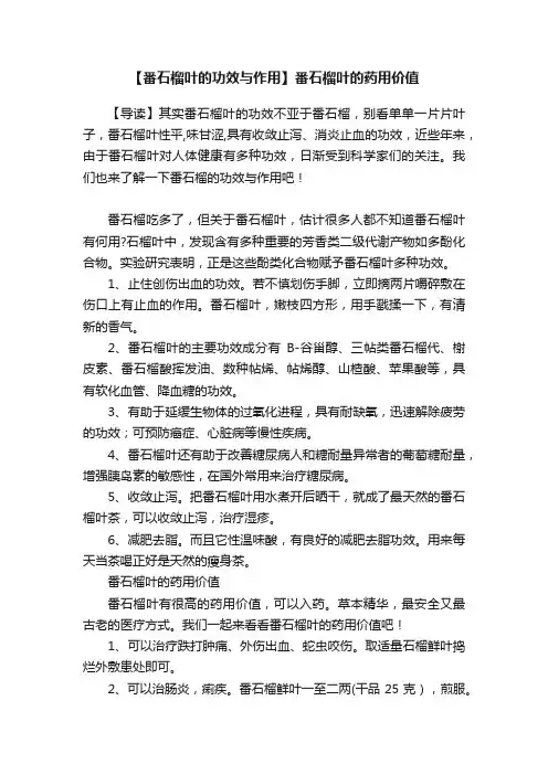 【番石榴叶的功效与作用】番石榴叶的药用价值