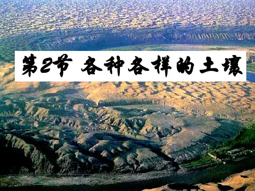 各种各样土壤
