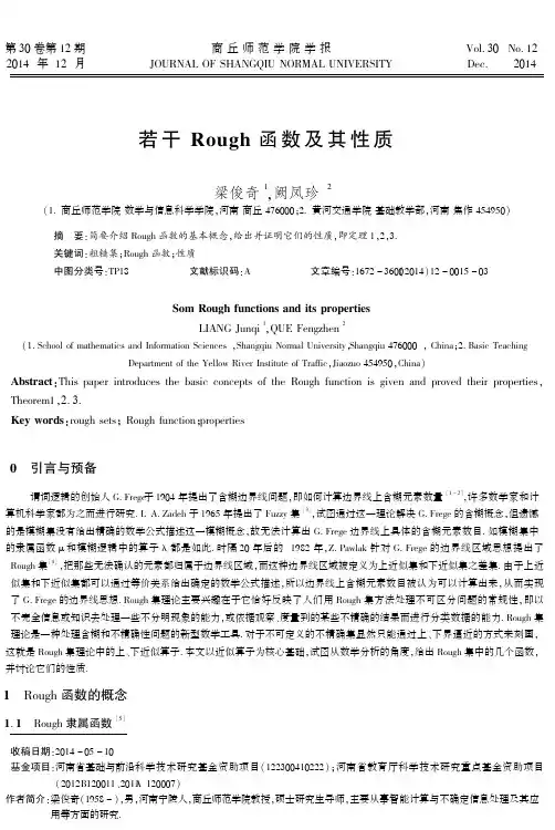 若干Rough函数及其性质