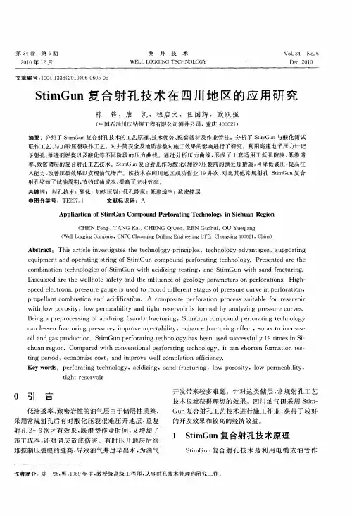 StimGun复合射孔技术在四川地区的应用研究