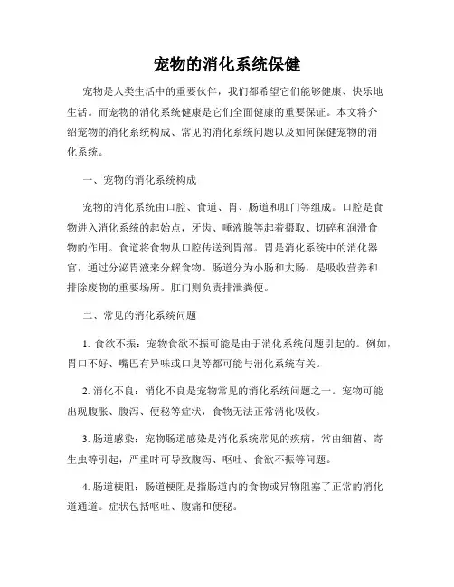 宠物的消化系统保健