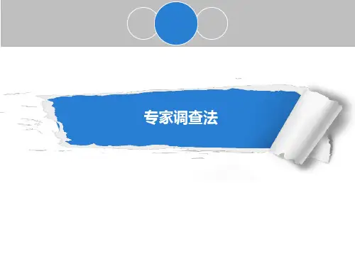 专家调查法