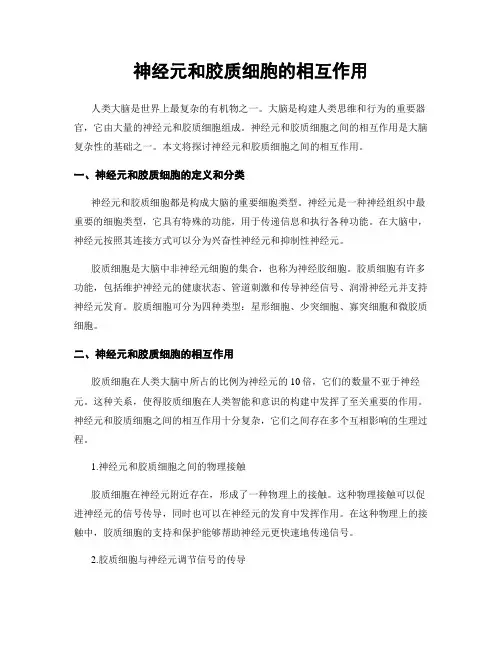 神经元和胶质细胞的相互作用