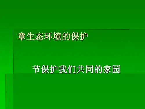 《保护我们共同的家园》PPT课件8 人教课标版