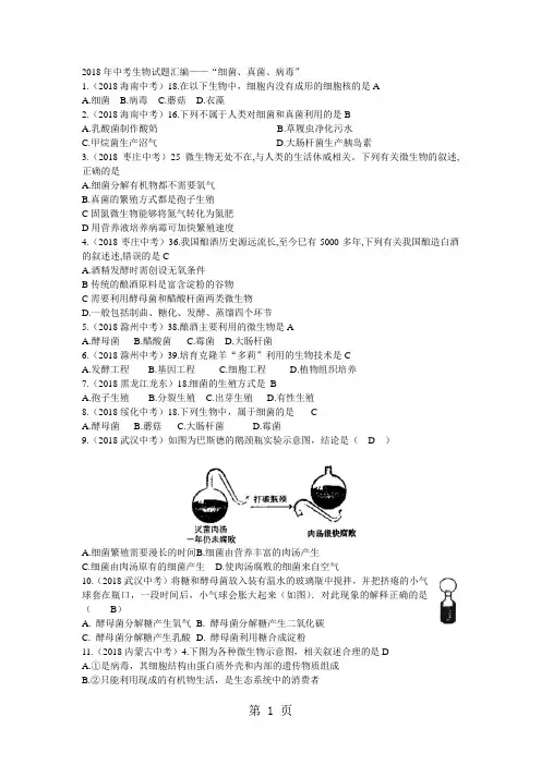 中考生物试题汇编__细菌、真菌、病毒-word文档