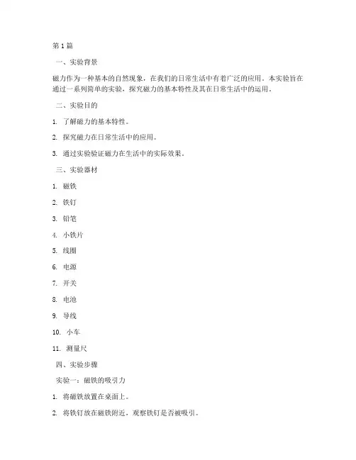 日常磁力的运用实验报告(3篇)