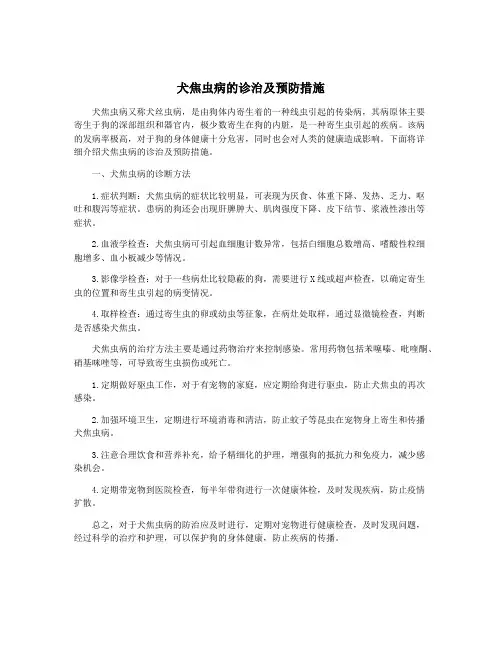 犬焦虫病的诊治及预防措施