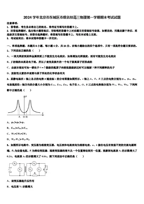 2024学年北京市东城区市级名校高三物理第一学期期末考试试题含解析