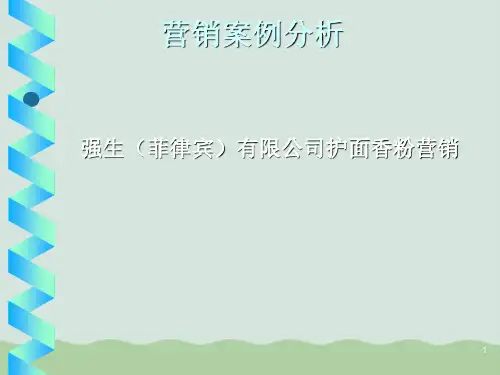 强生公司营销案例分析PPT(共62页)