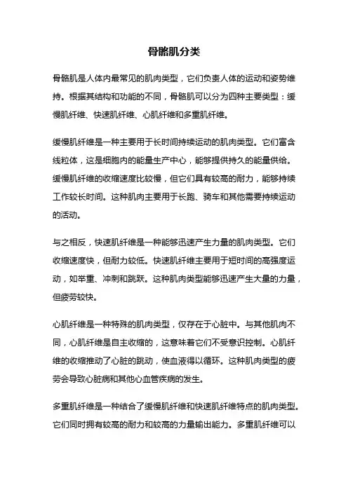 骨骼肌分类