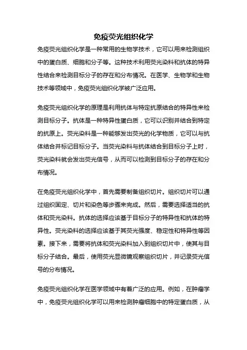 免疫荧光组织化学