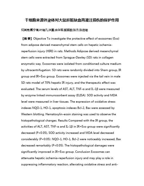 干细胞来源外泌体对大鼠肝脏缺血再灌注损伤的保护作用