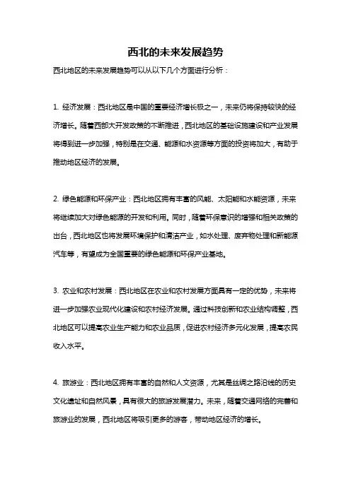 西北的未来发展趋势