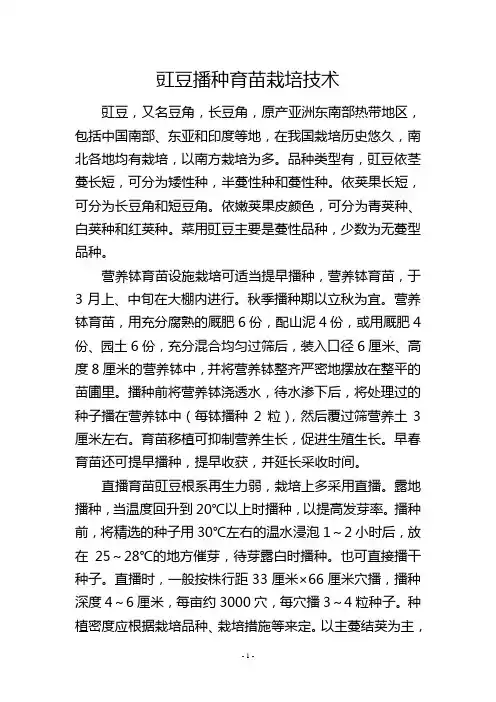 豇豆播种育苗栽培技术