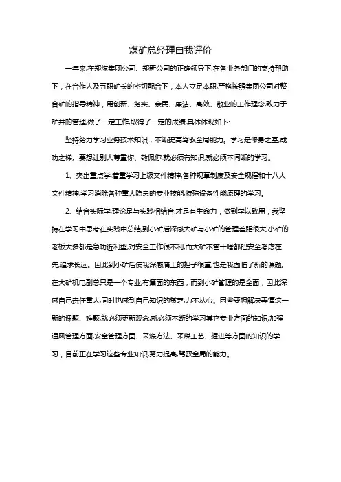 煤矿总经理自我评价