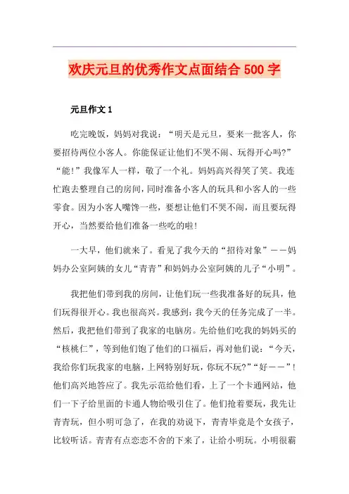 欢庆元旦的优秀作文点面结合500字
