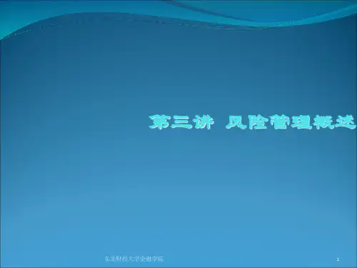 《风险管理概述》PPT演示课件