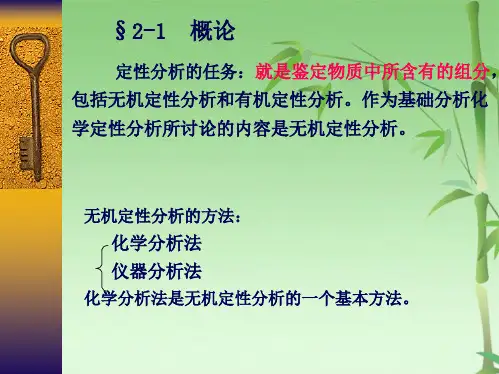 定性分析(共72张PPT)