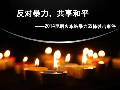 2014昆明事件 第三组