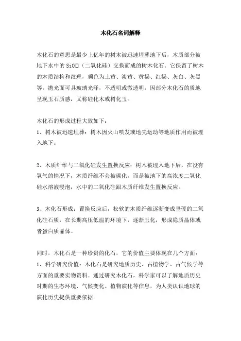 木化石名词解释