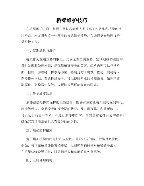 桥梁维护技巧