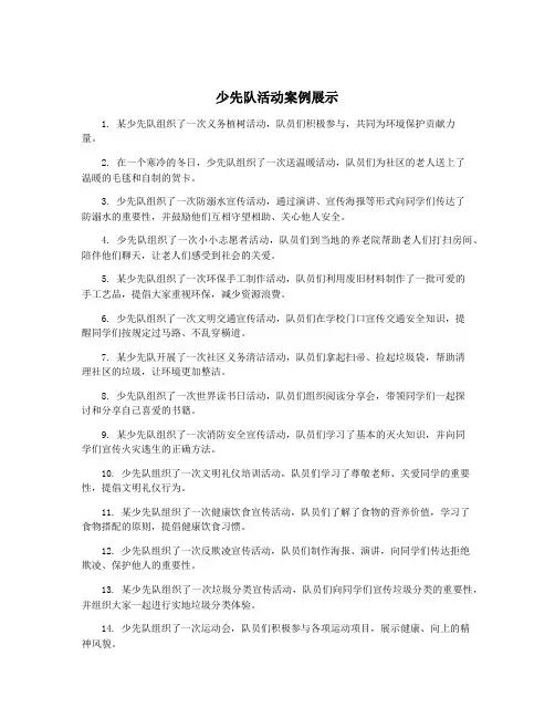 少先队活动案例展示