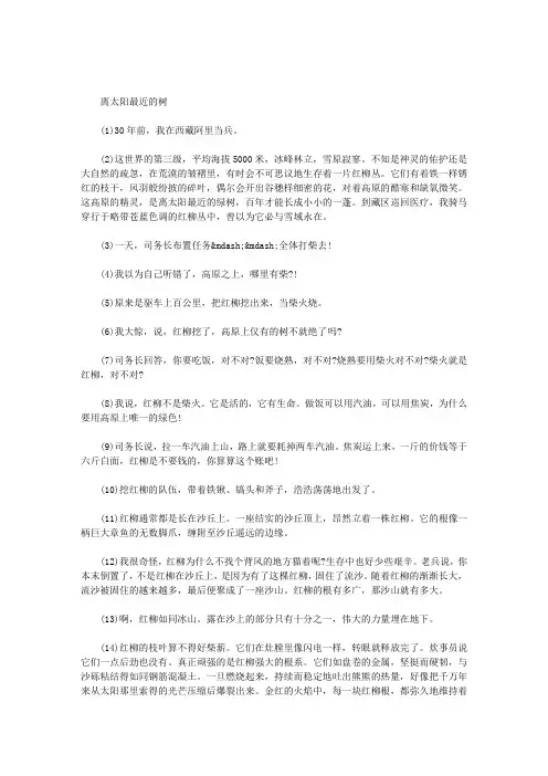 离太阳最近的树阅读答案