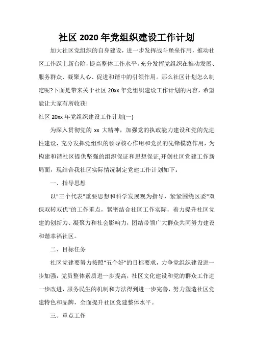  社区2020年党组织建设工作计划
