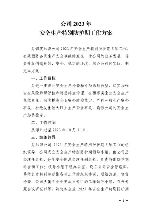 公司2023年安全生产特别防护期工作方案