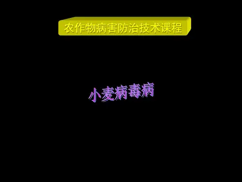 土传花叶病