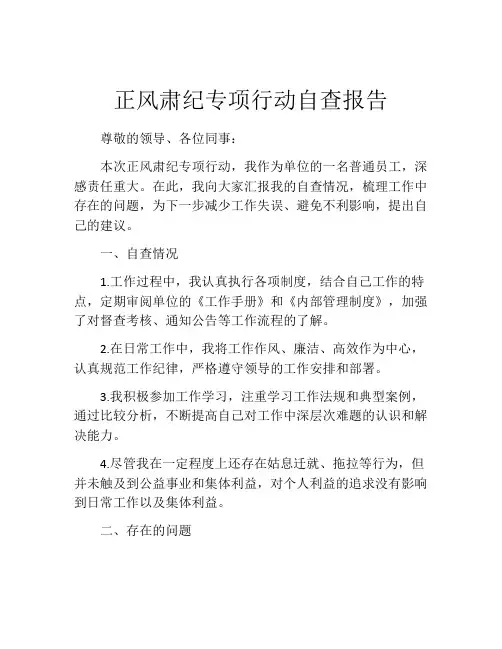 正风肃纪专项行动自查报告