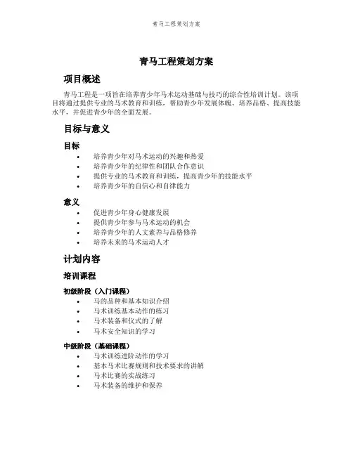 青马工程策划方案