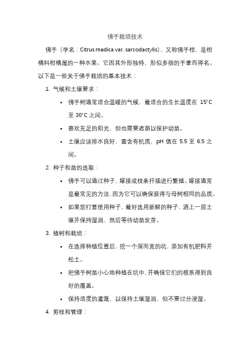 佛手栽培技术