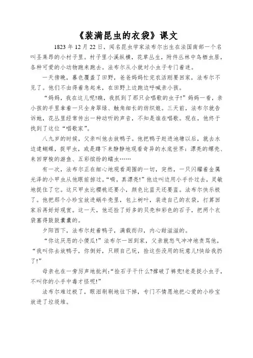 《装满昆虫的衣袋》课文