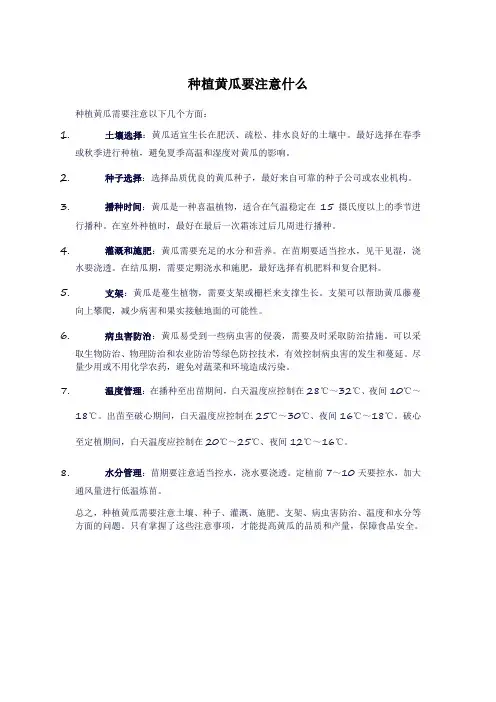 种植黄瓜要注意什么