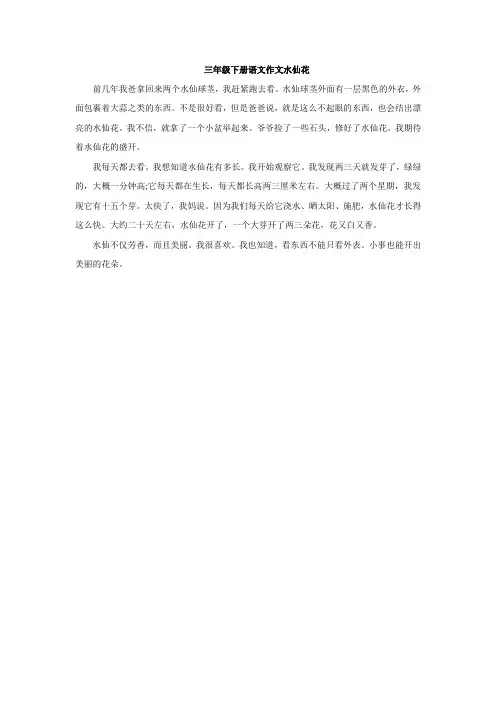 三年级下册语文作文水仙花