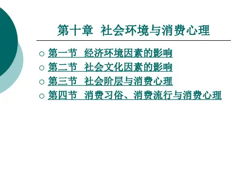 《消费心理学》第十章  社会环境与消费心理