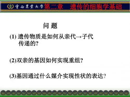 遗传的细胞学基础