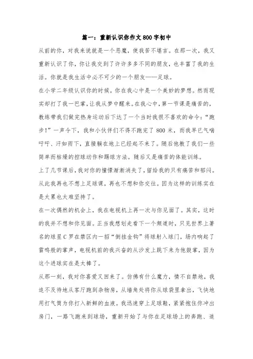 我想重新认识你什么作文350字
