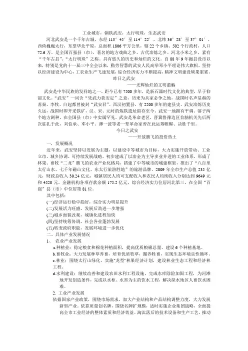 武安市的城市规划